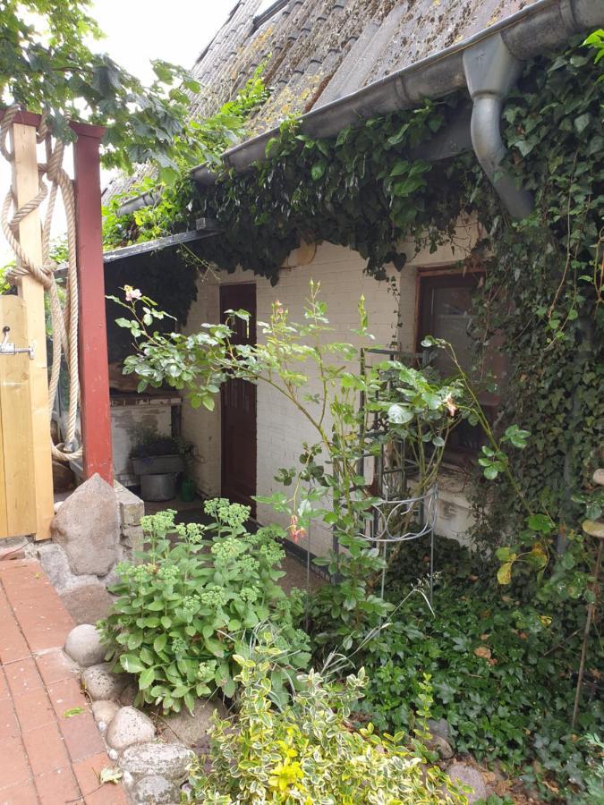 Ferienwohnung Am Osterdeich Dagebüll エクステリア 写真